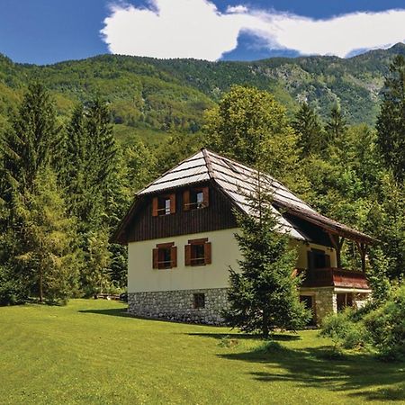 Chalet Primus Near Soca Gorge - Happy Rentals Buitenkant foto