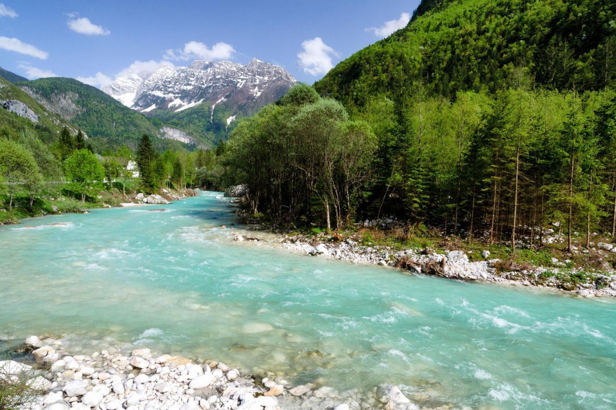 Chalet Primus Near Soca Gorge - Happy Rentals Buitenkant foto