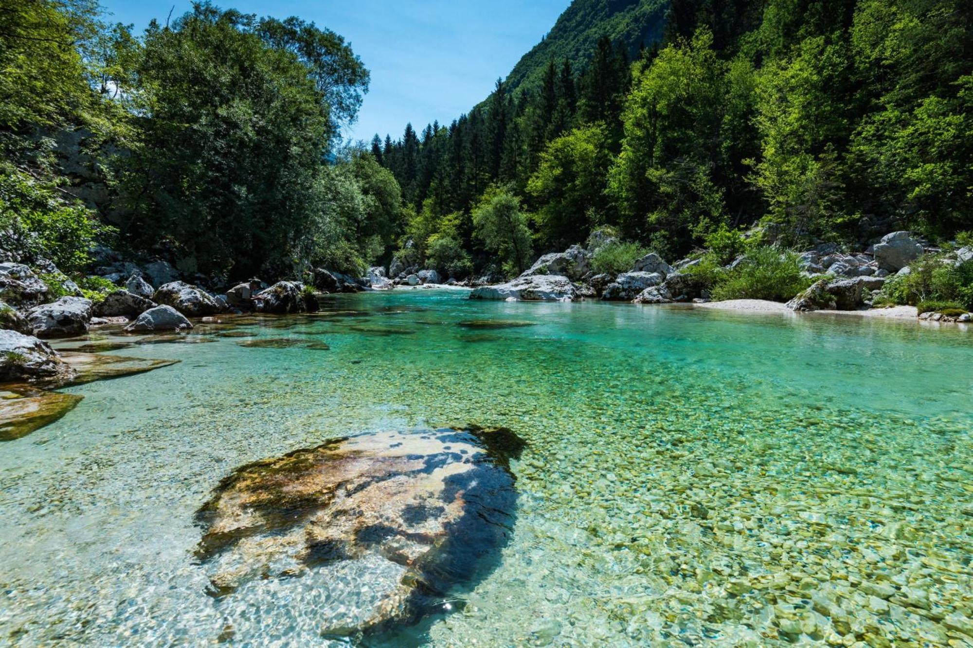 Chalet Primus Near Soca Gorge - Happy Rentals Buitenkant foto