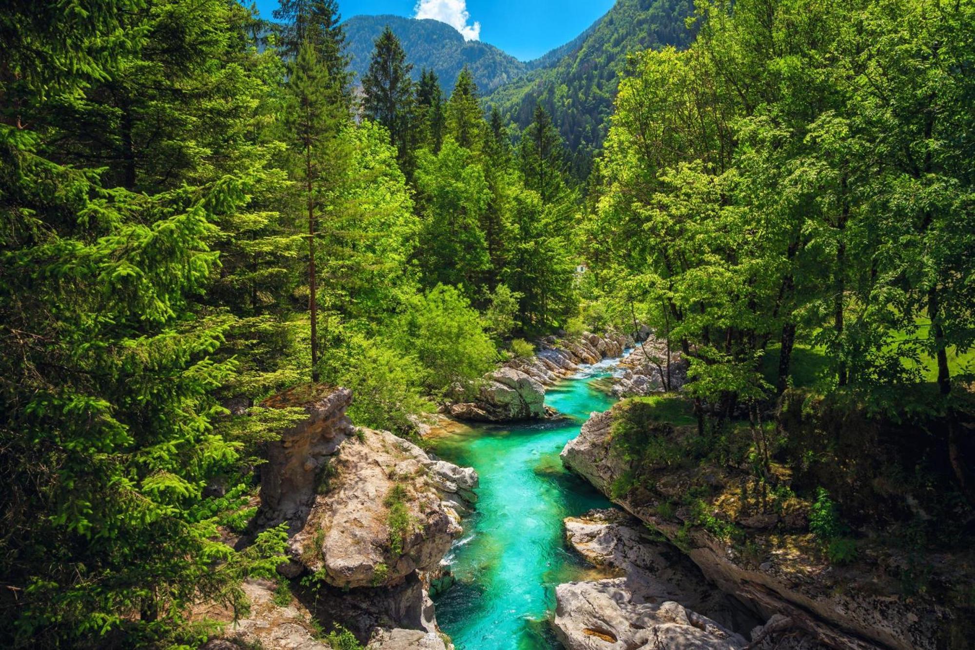 Chalet Primus Near Soca Gorge - Happy Rentals Buitenkant foto